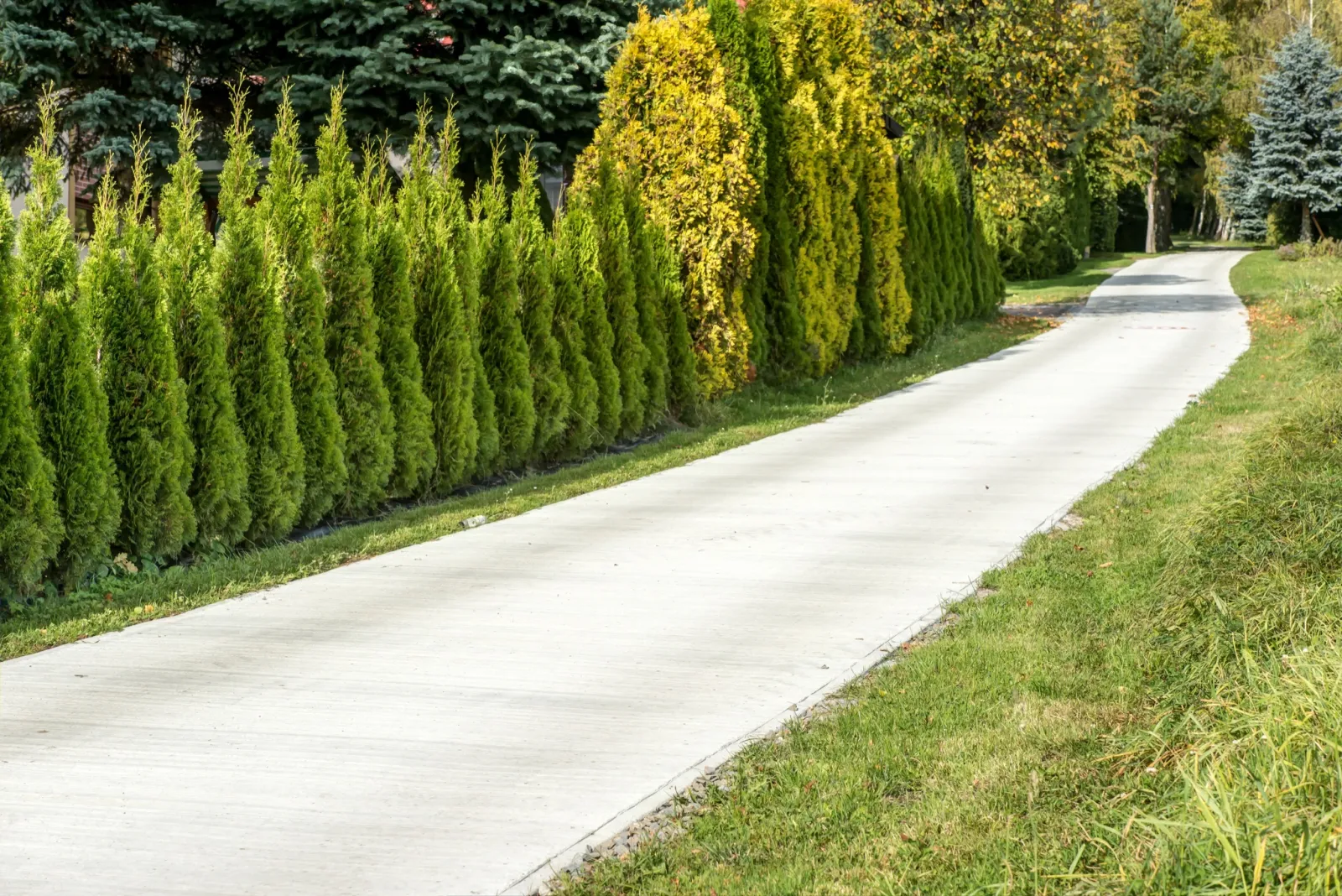 Gotowa droga betonowa wykonana z mieszanki Betoniarni STELMACH